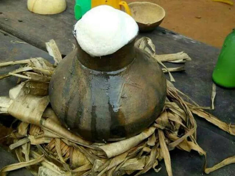 Vin de palme, boisson camerounaise
