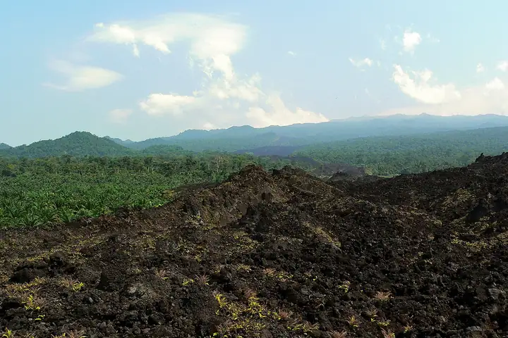 Coulée de lave noire de l'éruption de 1999 près de Limbé