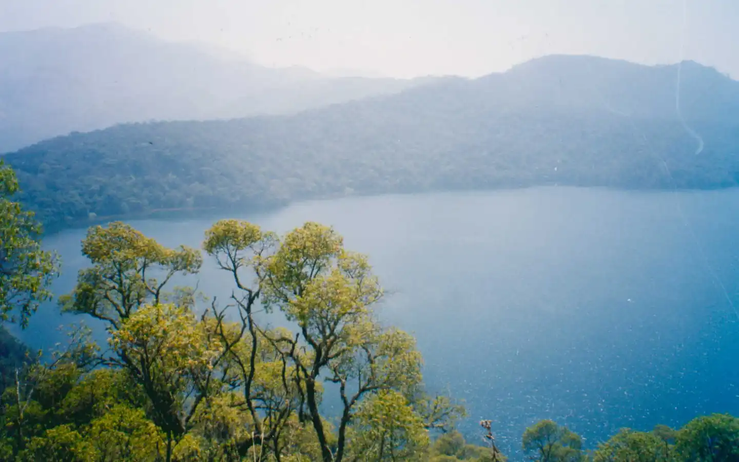 Le lac Oku entouré de forêt, dans le Nord-Ouest