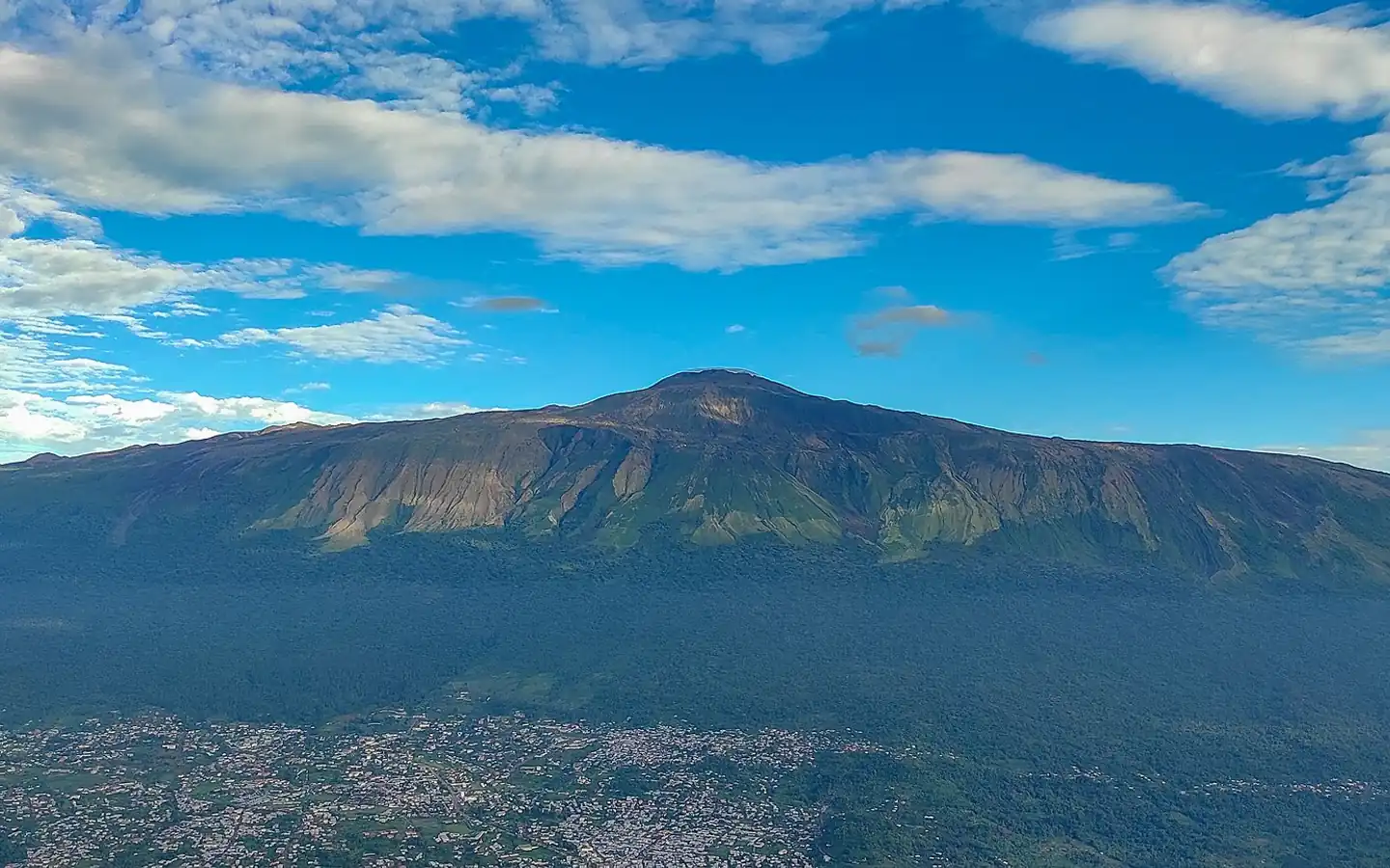Les pentes du mont Cameroun dans le parc national