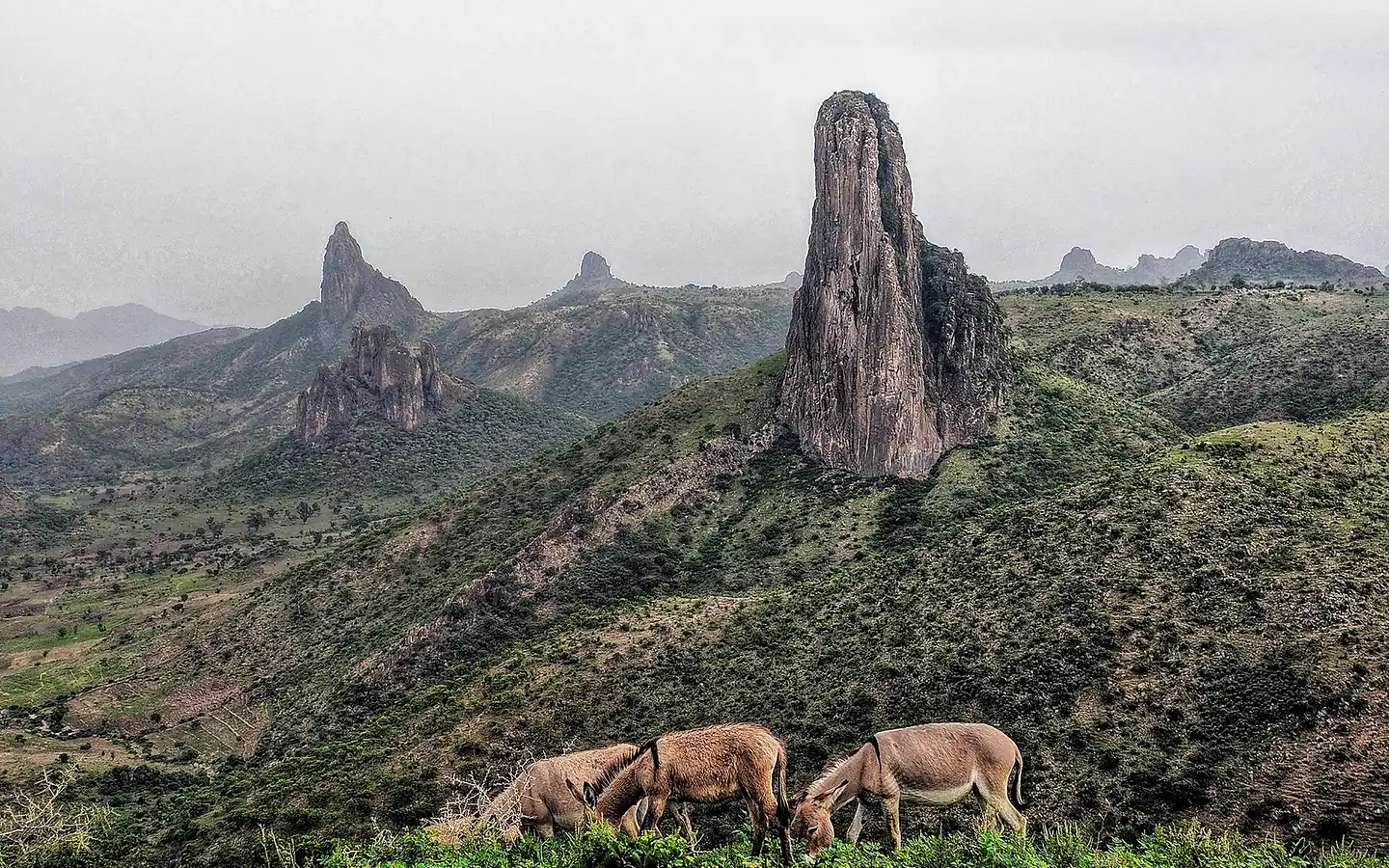 Les pitons volcaniques des monts Kapsiki, près de Rhumsiki