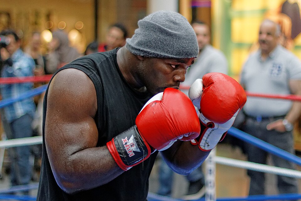 Portrait de Carlos Takam