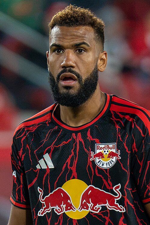 Portrait de Eric Maxim Choupo-Moting